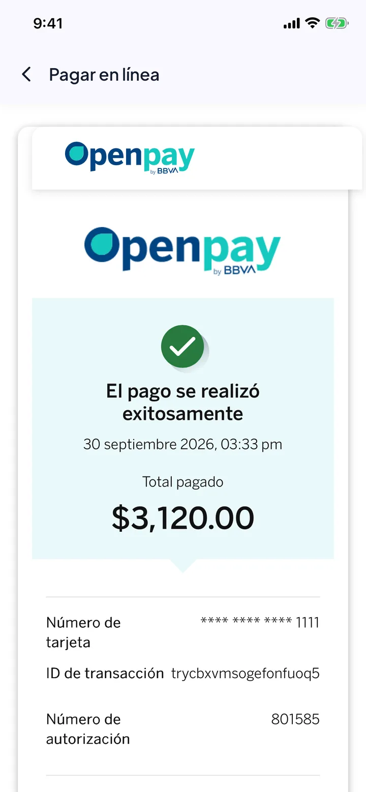 El pago se realizó exitosamente